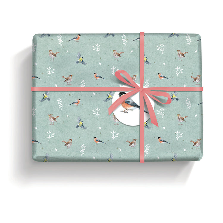 Birthday & Everyday Gift Wrap