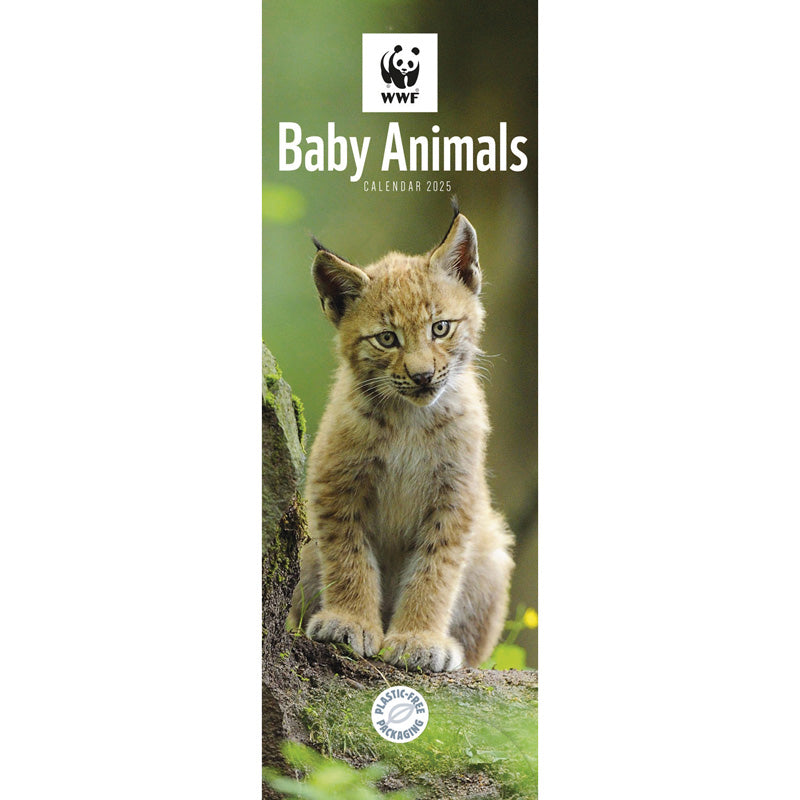 WWF Baby Animals Slim Calendar 2025 (PFP) Otter House