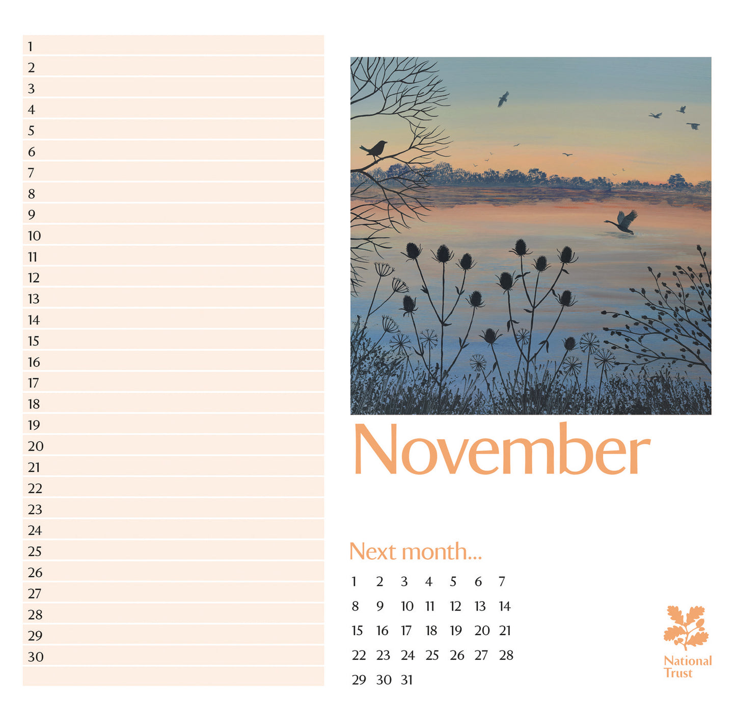 National Trust - Jo Grundy Birthday Midi Calendar 2027 (PFP)