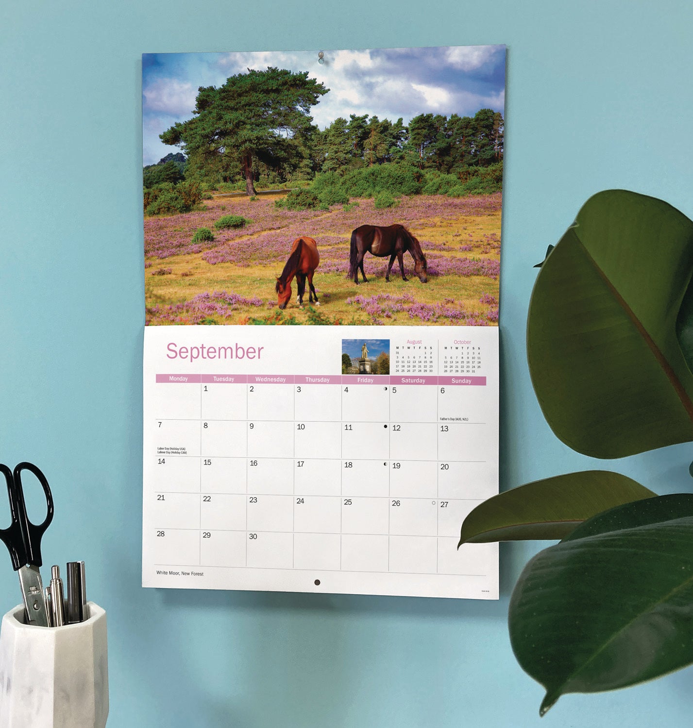 Hampshire A4 Calendar 2026