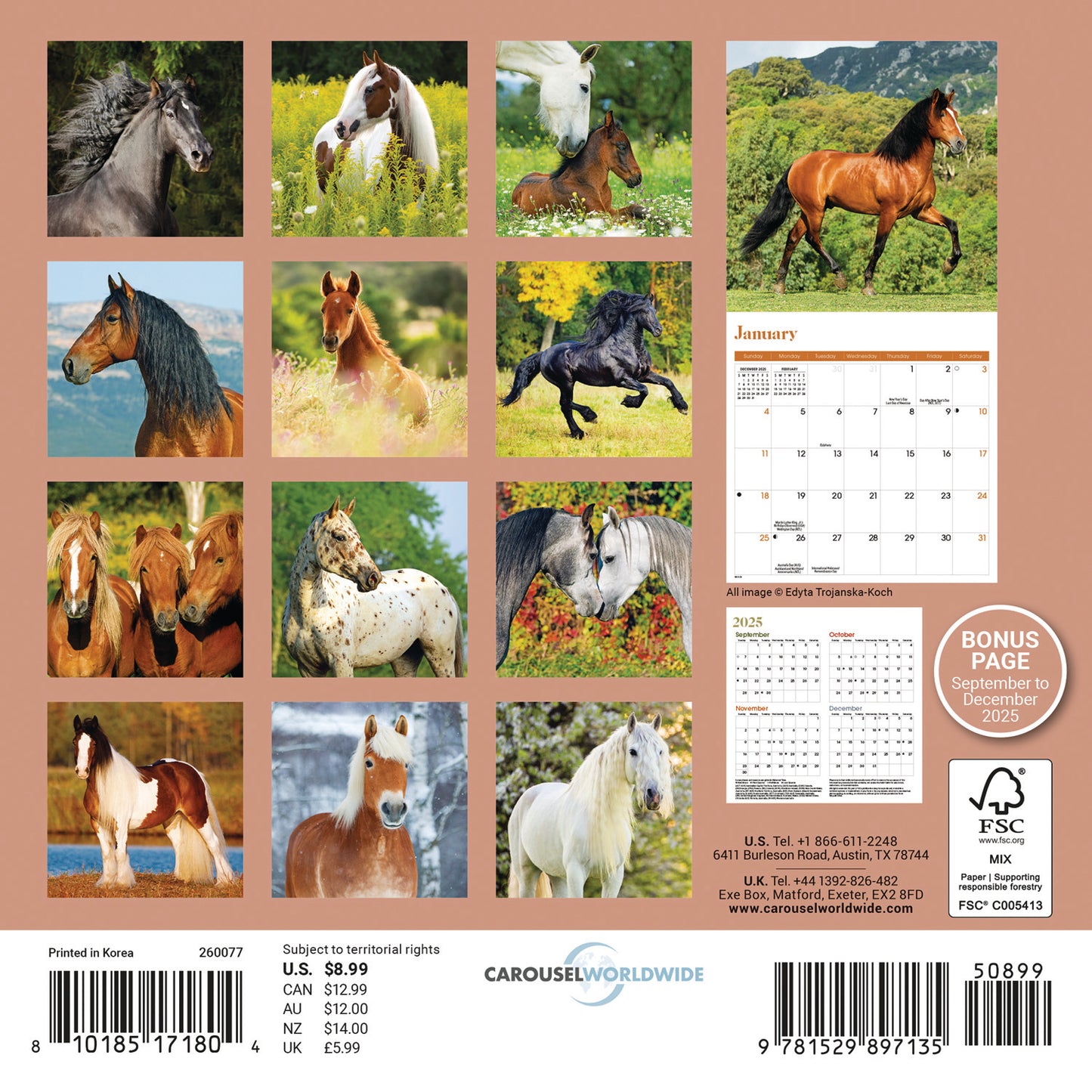 Horses Mini Calendar 2026