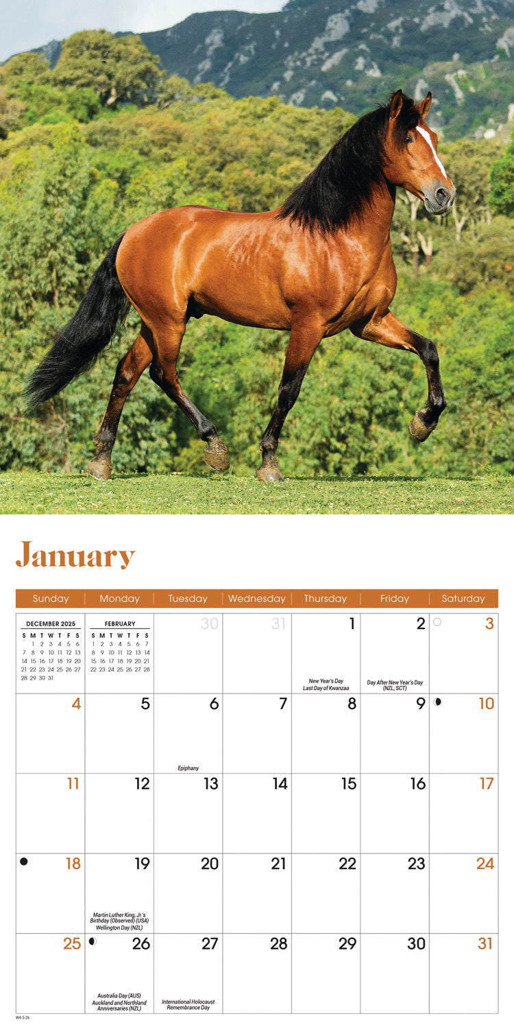 Horses Mini Calendar 2026