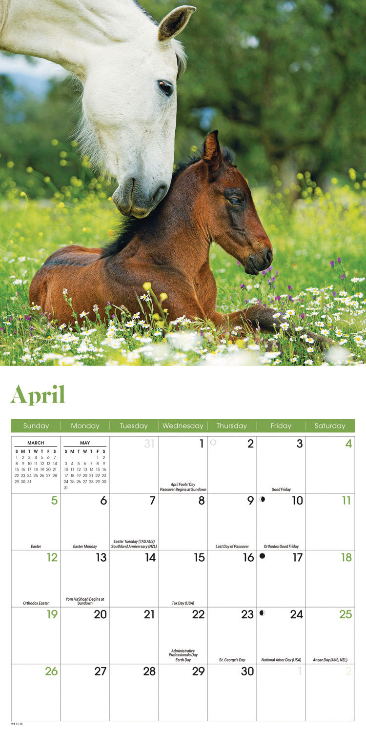Horses Mini Calendar 2026