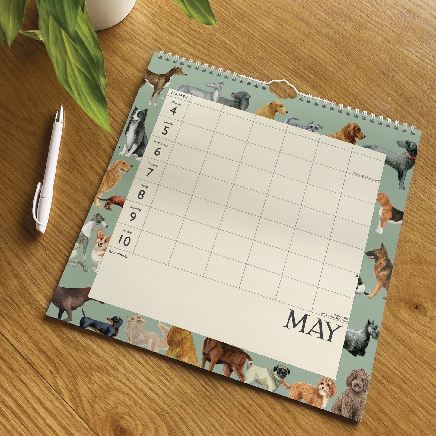 Emma Bridgewater Dates, Dinners & Dog Walks WTV Planner Wall Calendar 2026