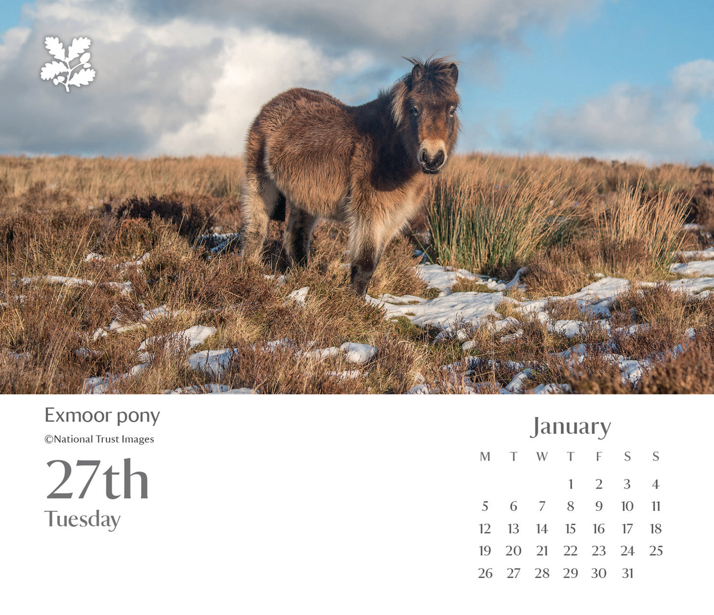 National Trust Escape B Calendar 2026