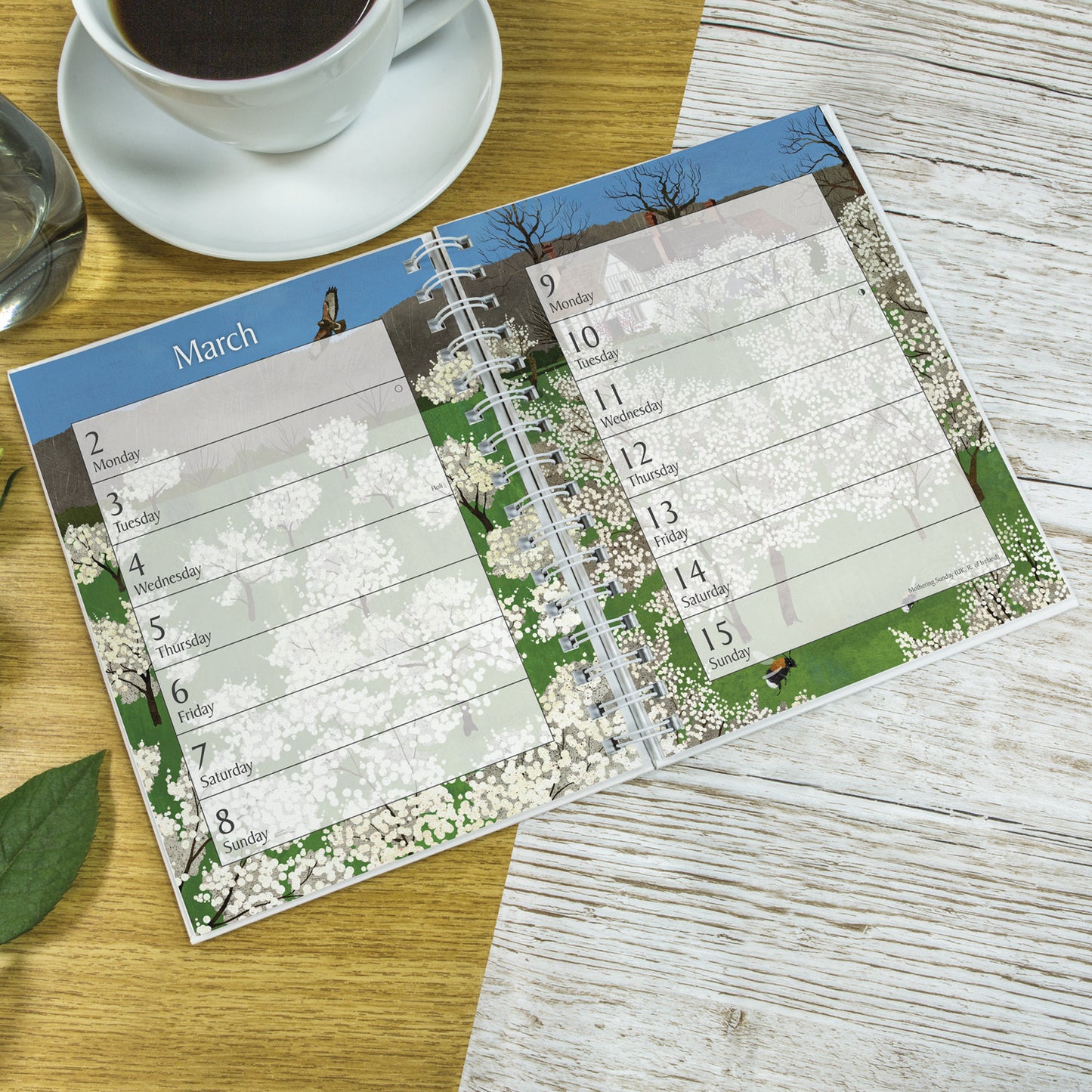 National Trust Illustrated Dlx Wiro Diary 2026