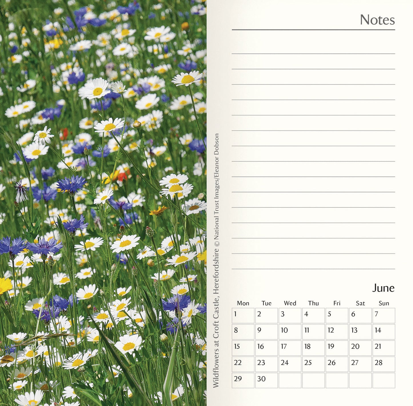 National Trust Slim Dlx Diary 2026