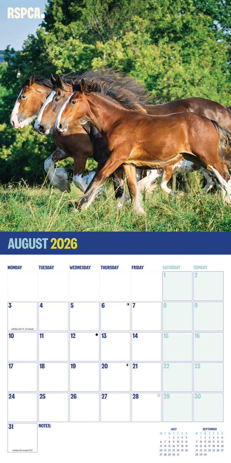 RSPCA British Horses & Ponies Wall Calendar 2026