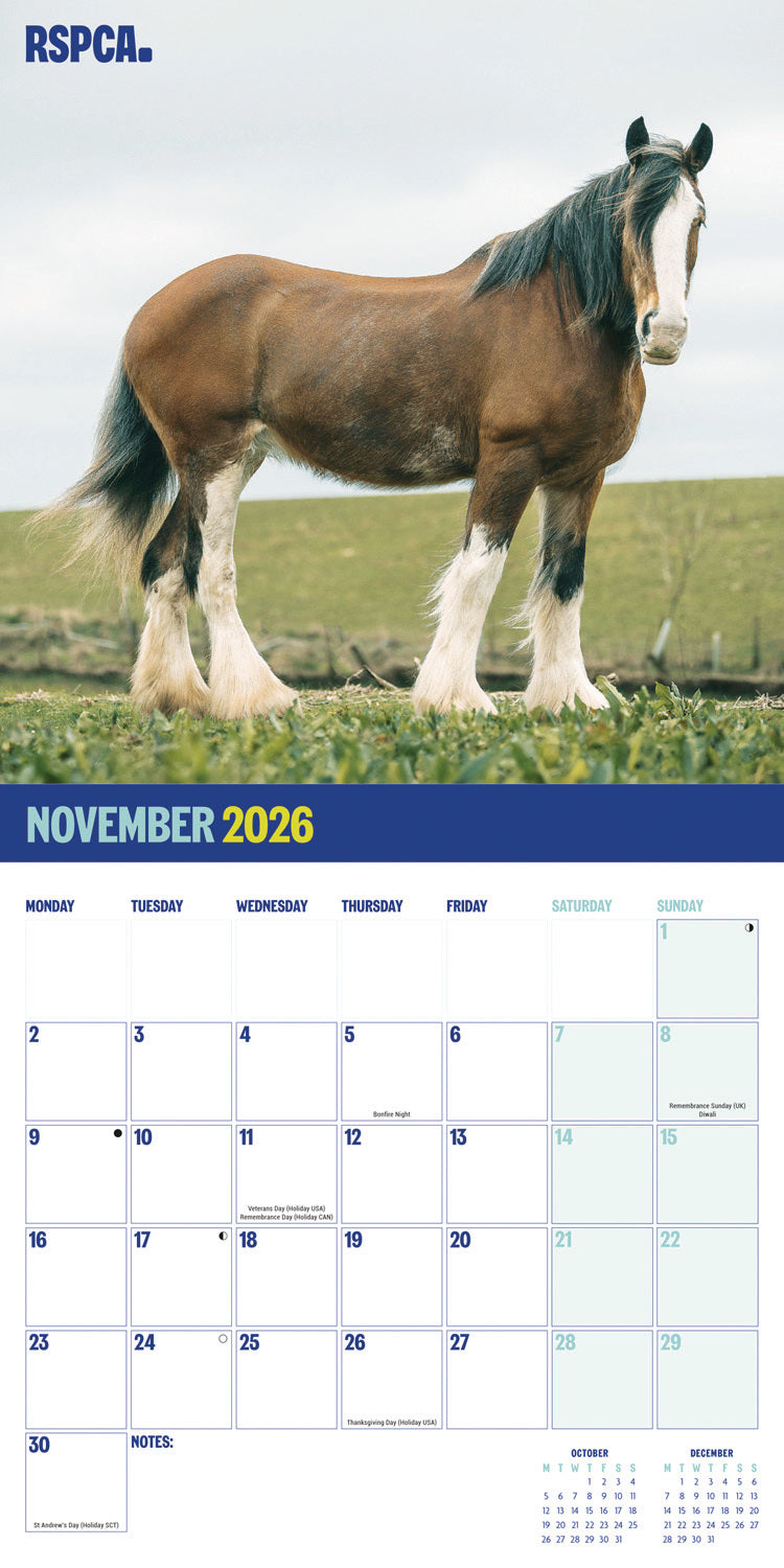 RSPCA British Horses & Ponies Wall Calendar 2026