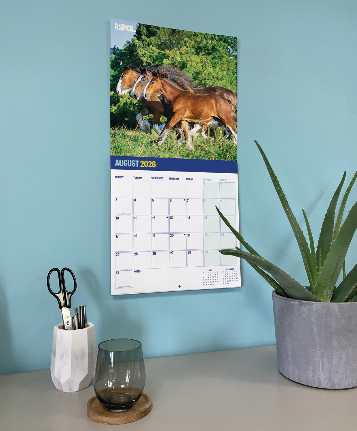 RSPCA British Horses & Ponies Wall Calendar 2026