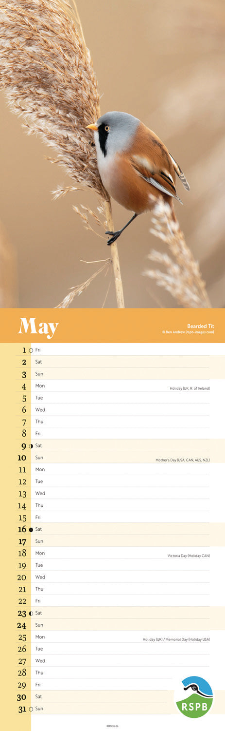 RSPB Birds Slim Calendar 2026