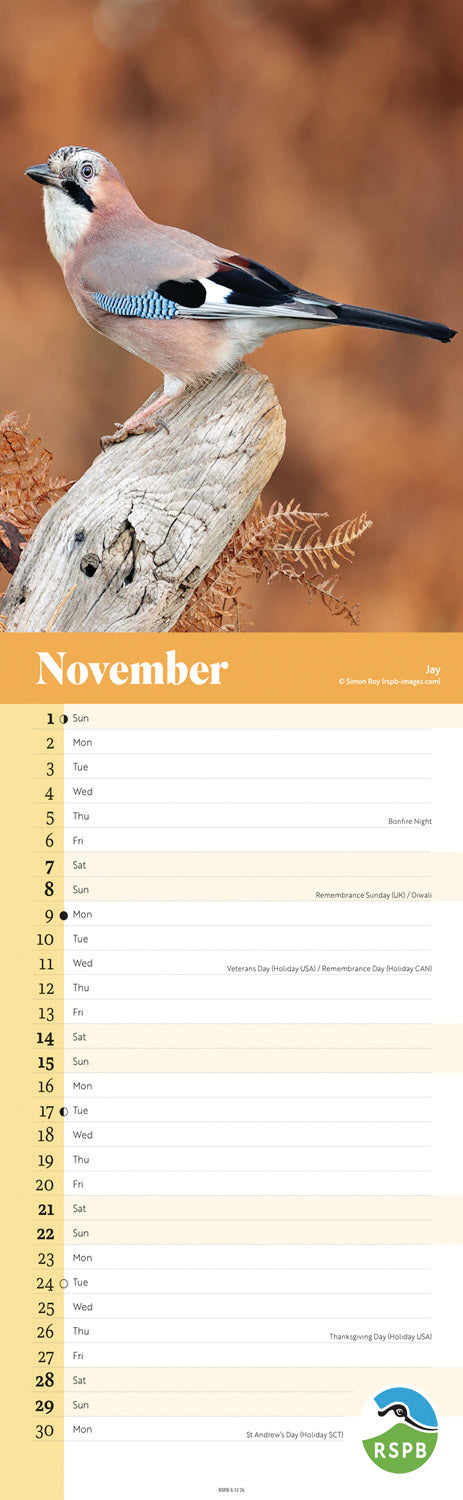 RSPB Birds Slim Calendar 2026