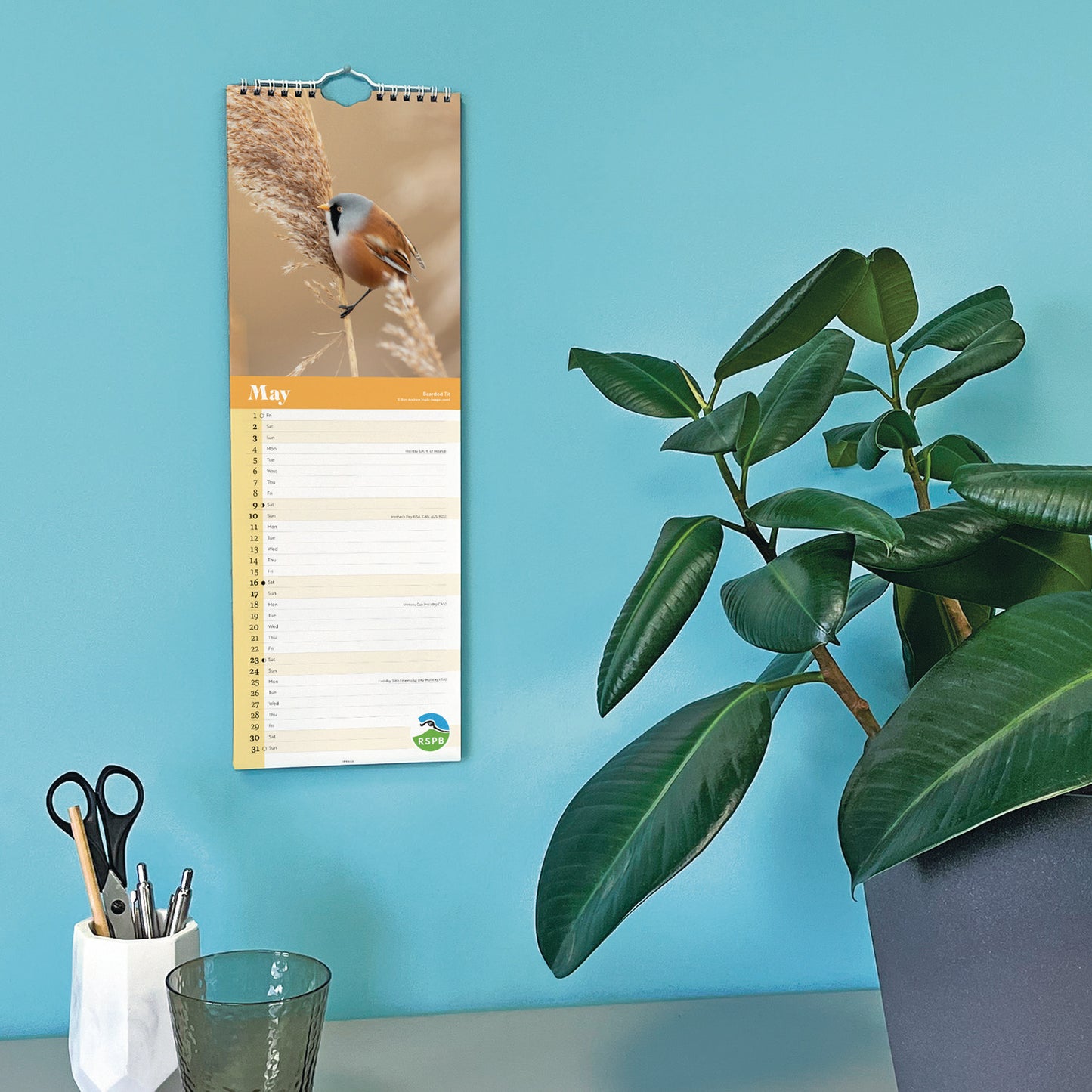 RSPB Birds Slim Calendar 2026