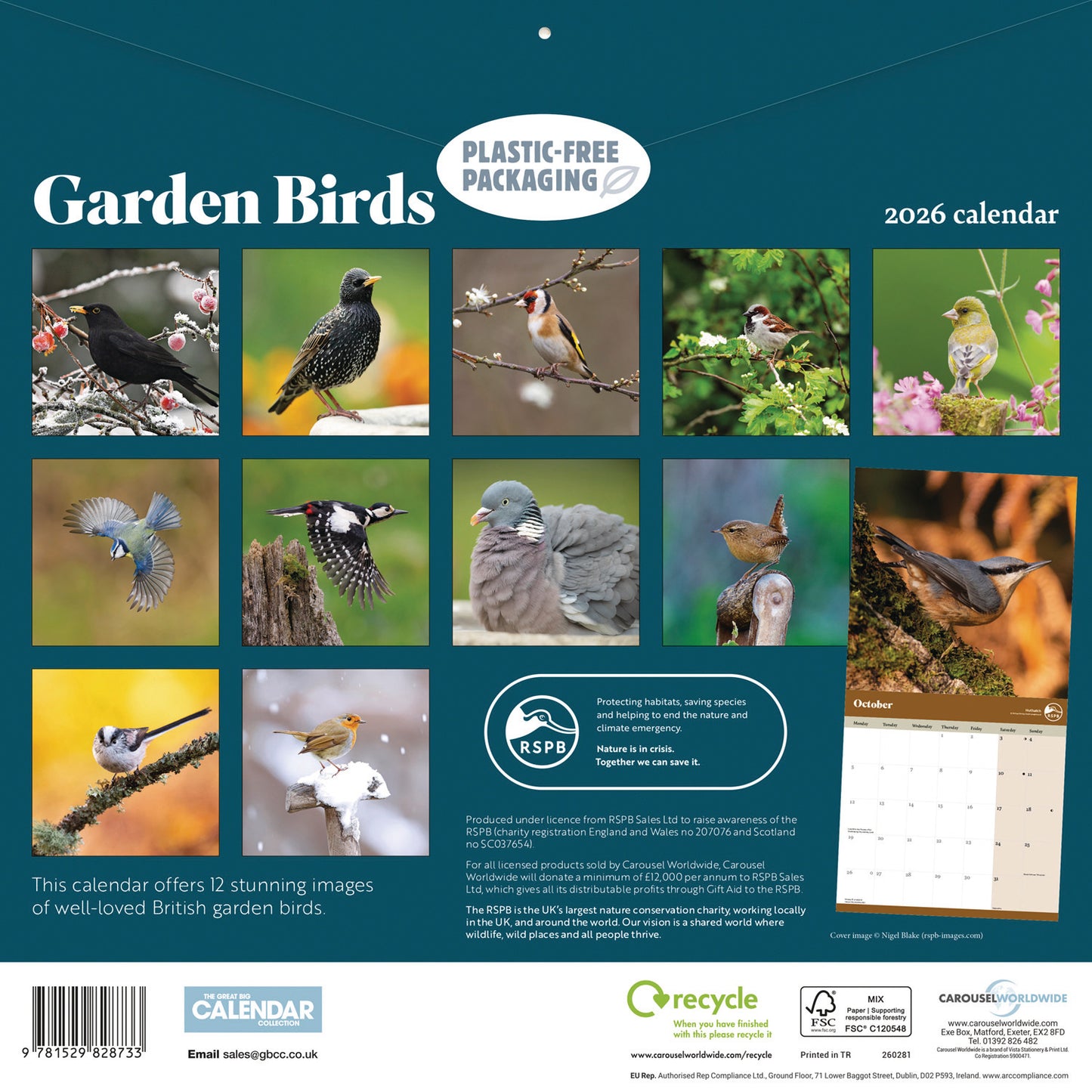 RSPB Garden Birds Wall Calendar 2026