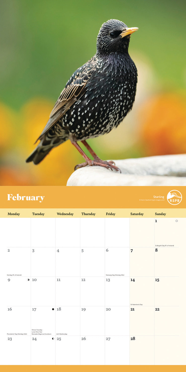 RSPB Garden Birds Wall Calendar 2026