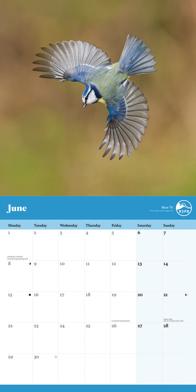 RSPB Garden Birds Wall Calendar 2026