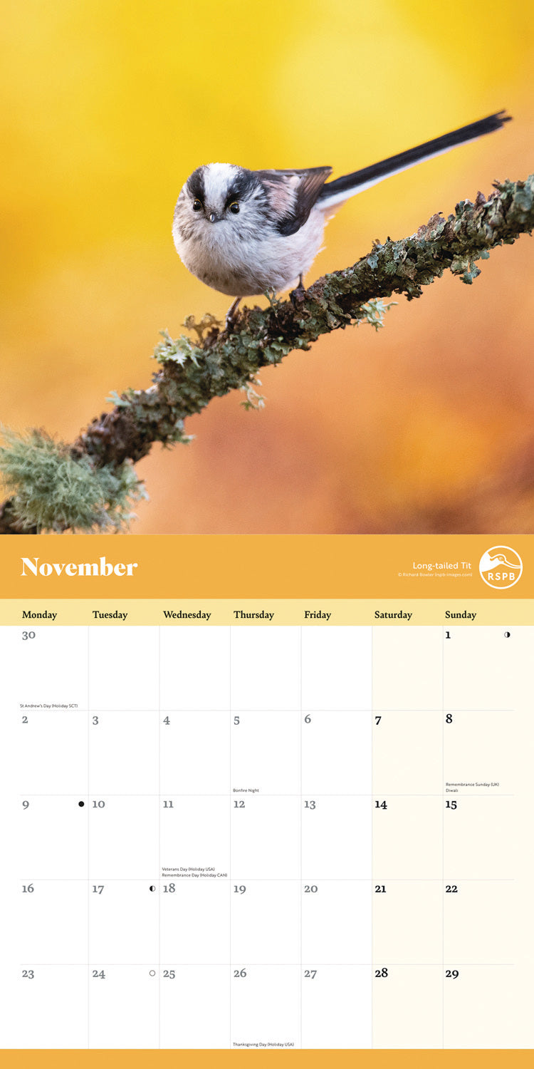 RSPB Garden Birds Wall Calendar 2026
