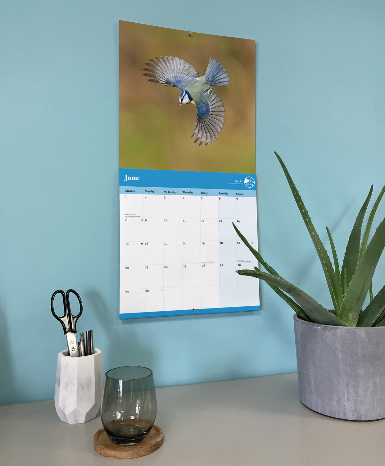 RSPB Garden Birds Wall Calendar 2026