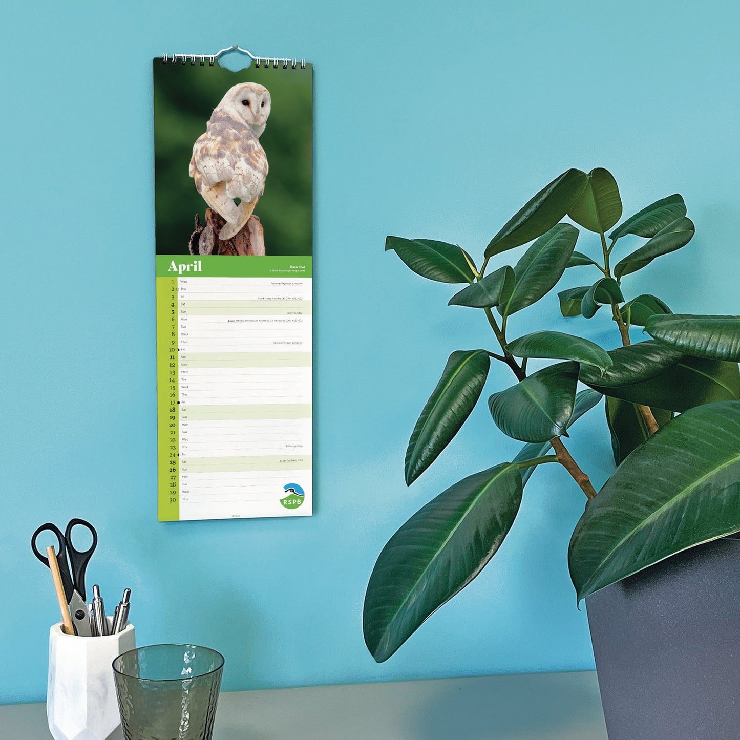 RSPB Owls Slim Calendar 2026