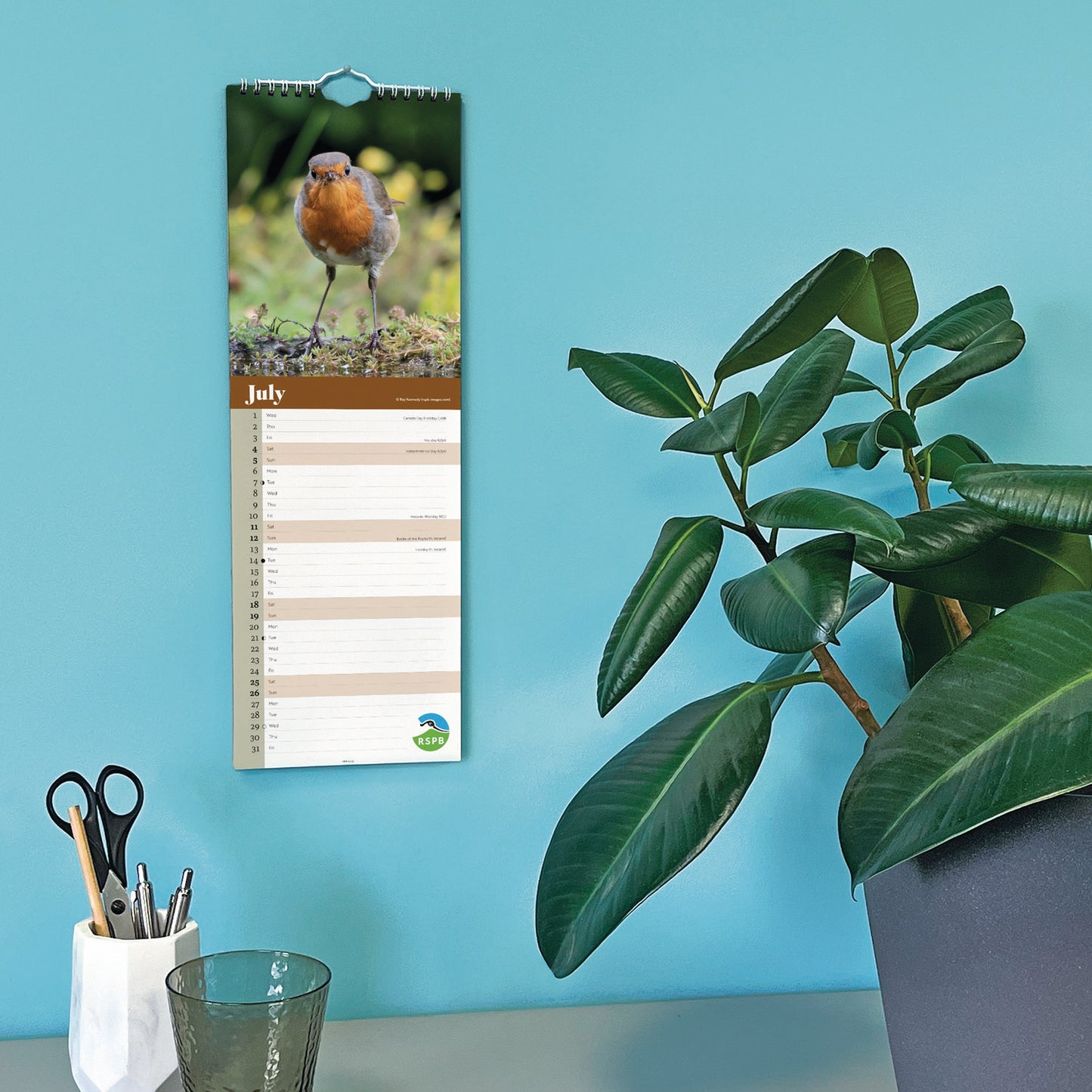 RSPB Robins Slim Calendar 2026