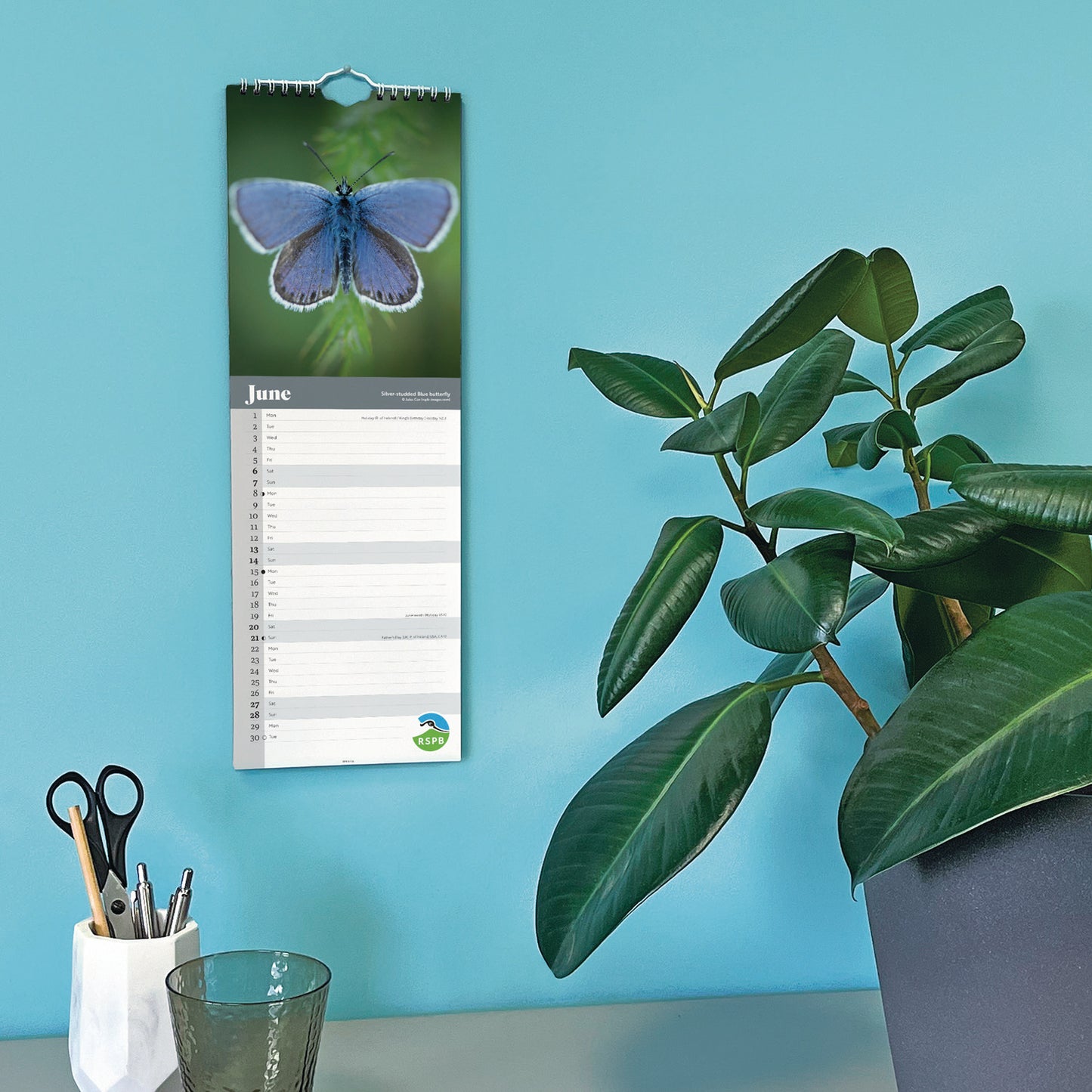 RSPB Wildlife Slim Calendar 2026