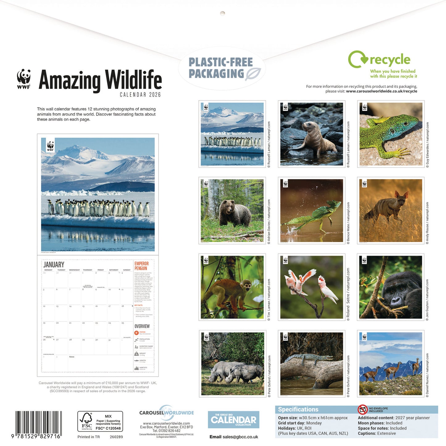 WWF Amazing Wildlife Wall Calendar 2026