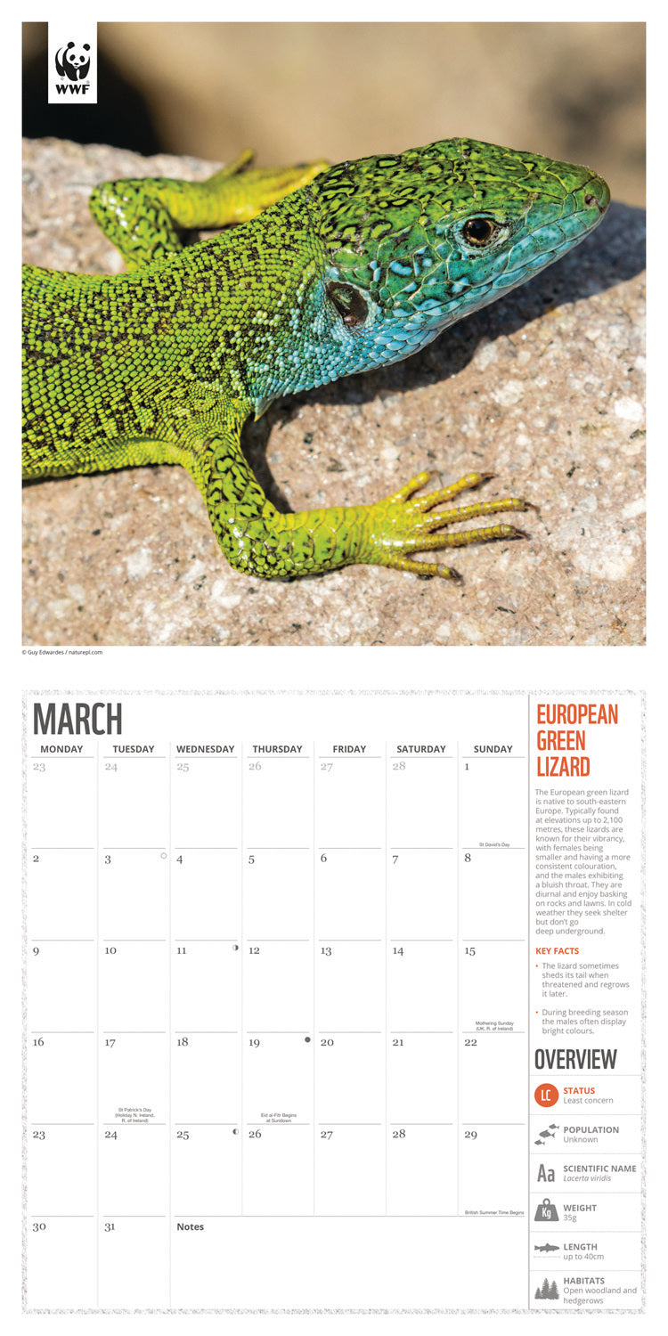 WWF Amazing Wildlife Wall Calendar 2026