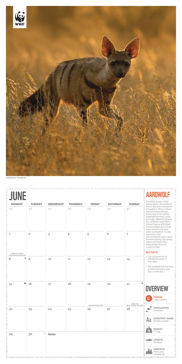 WWF Amazing Wildlife Wall Calendar 2026
