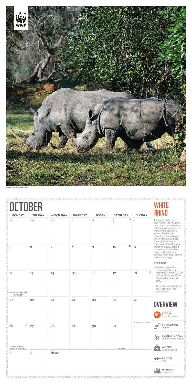 WWF Amazing Wildlife Wall Calendar 2026