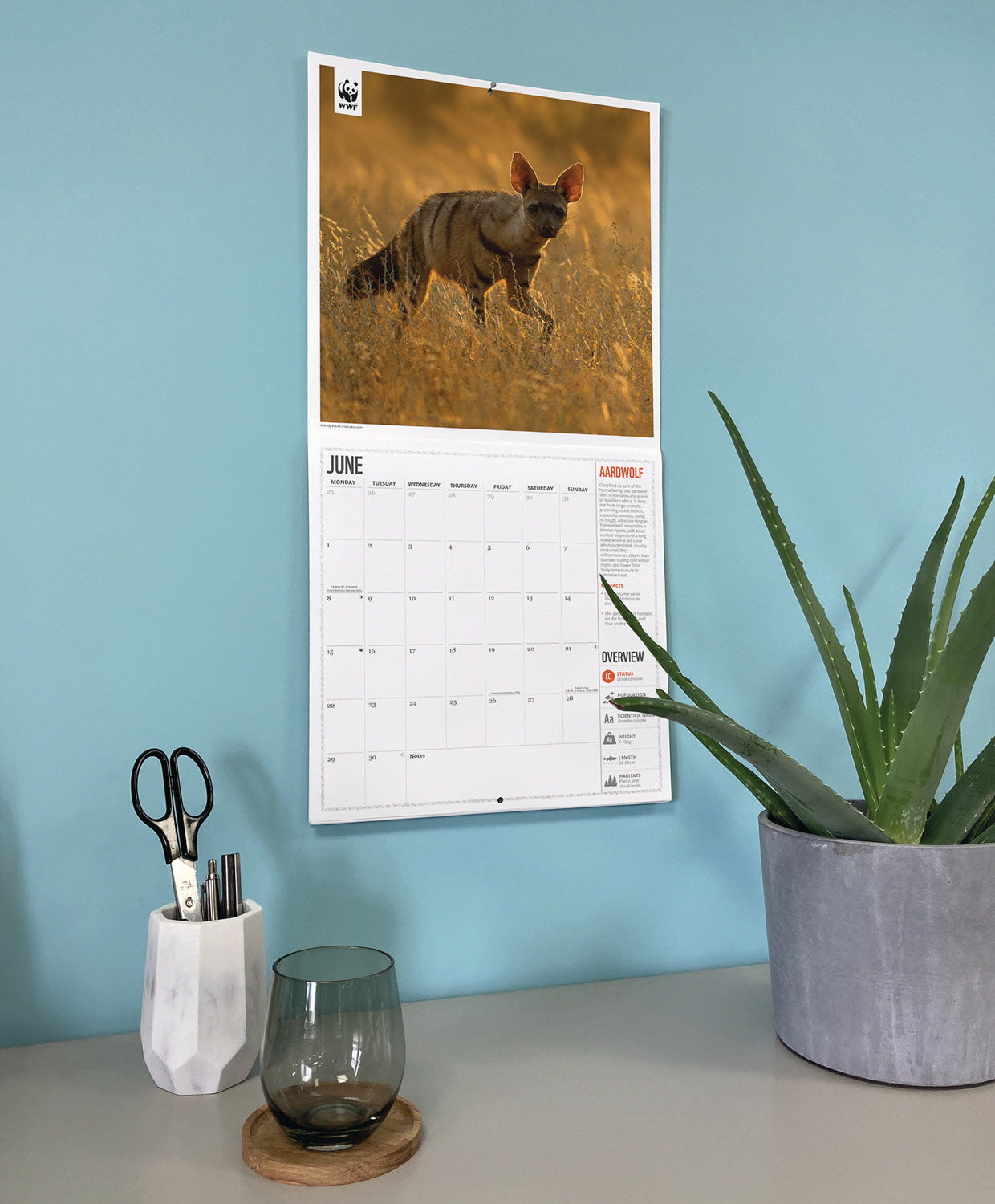 WWF Amazing Wildlife Wall Calendar 2026