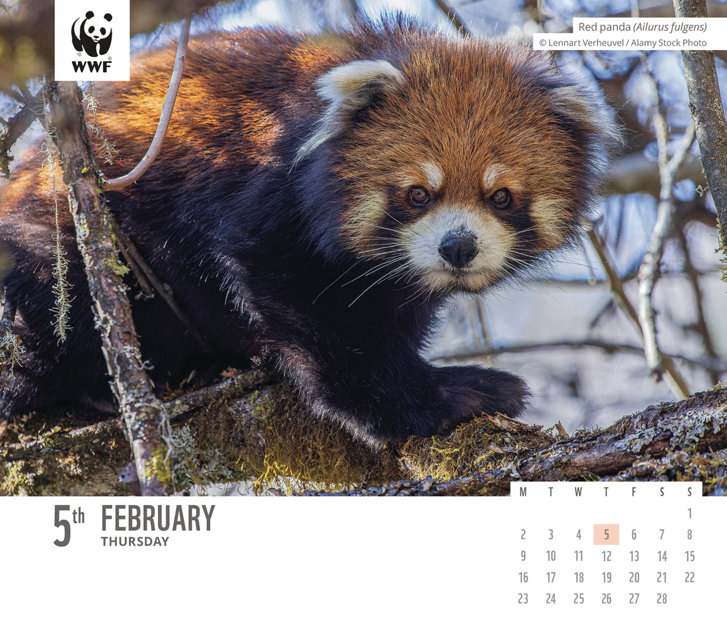WWF Natural World, Box Calendar 2026