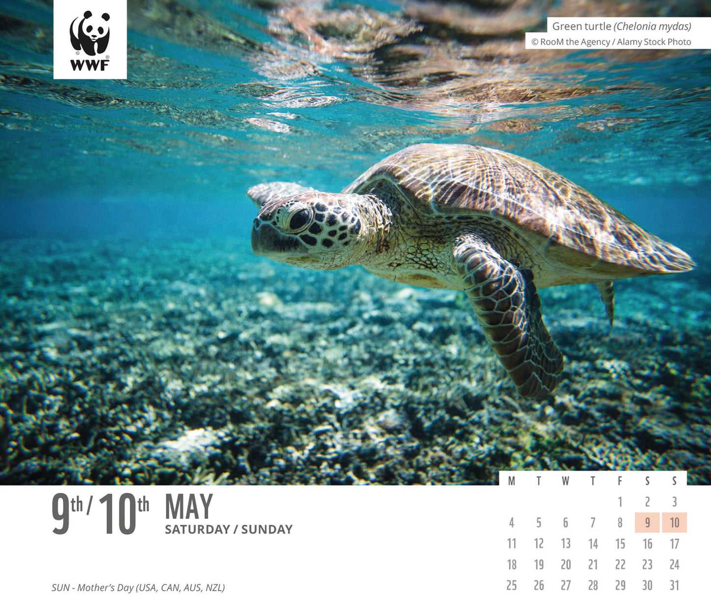 WWF Natural World, Box Calendar 2026