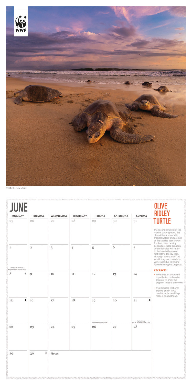 WWF Oceans Wall Calendar 2026