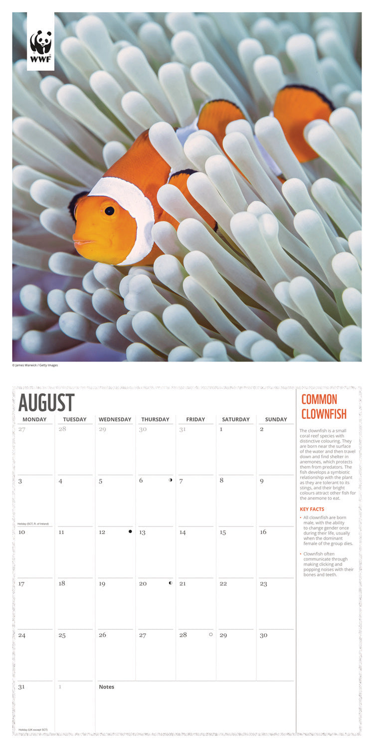 WWF Oceans Wall Calendar 2026