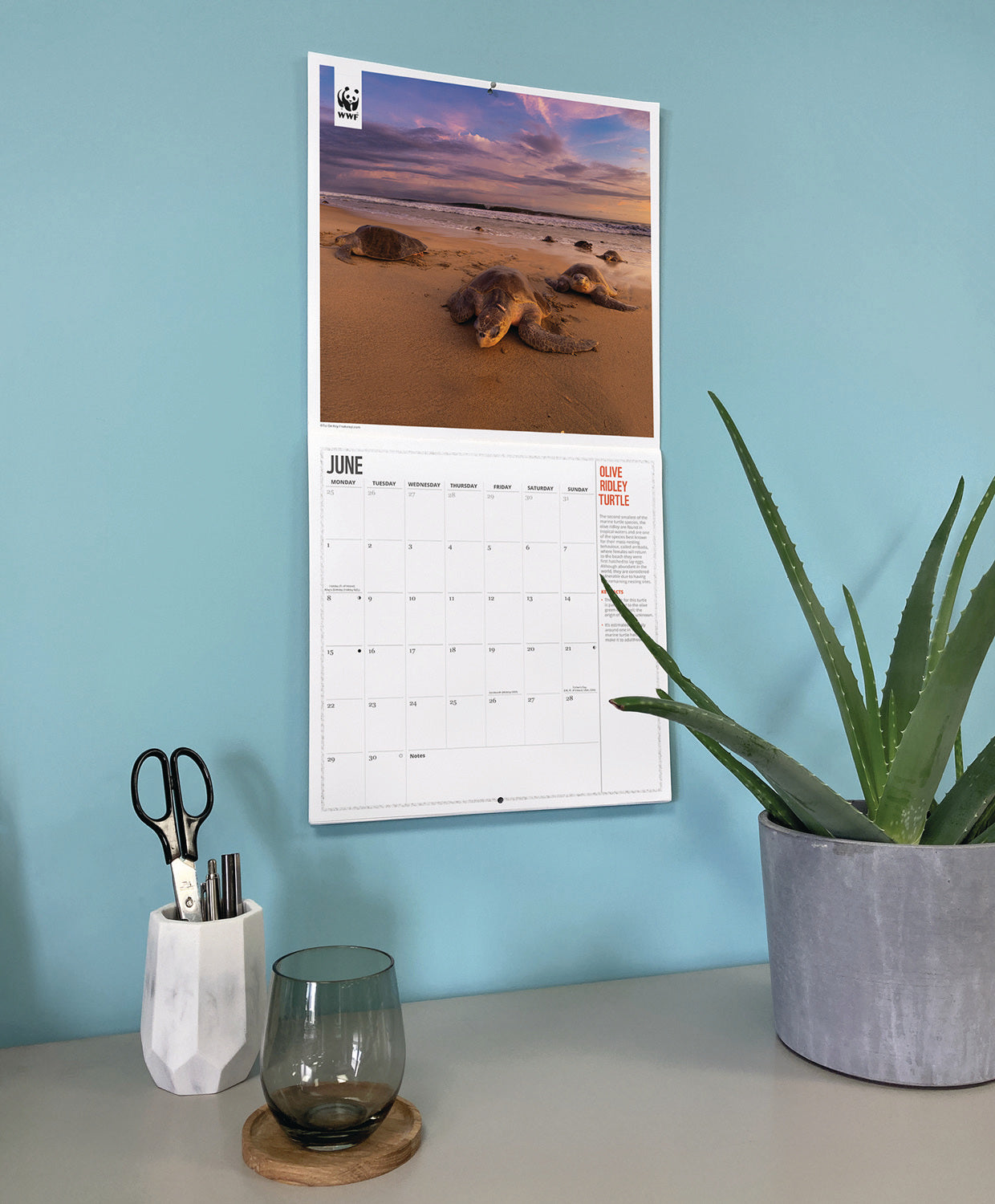WWF Oceans Wall Calendar 2026