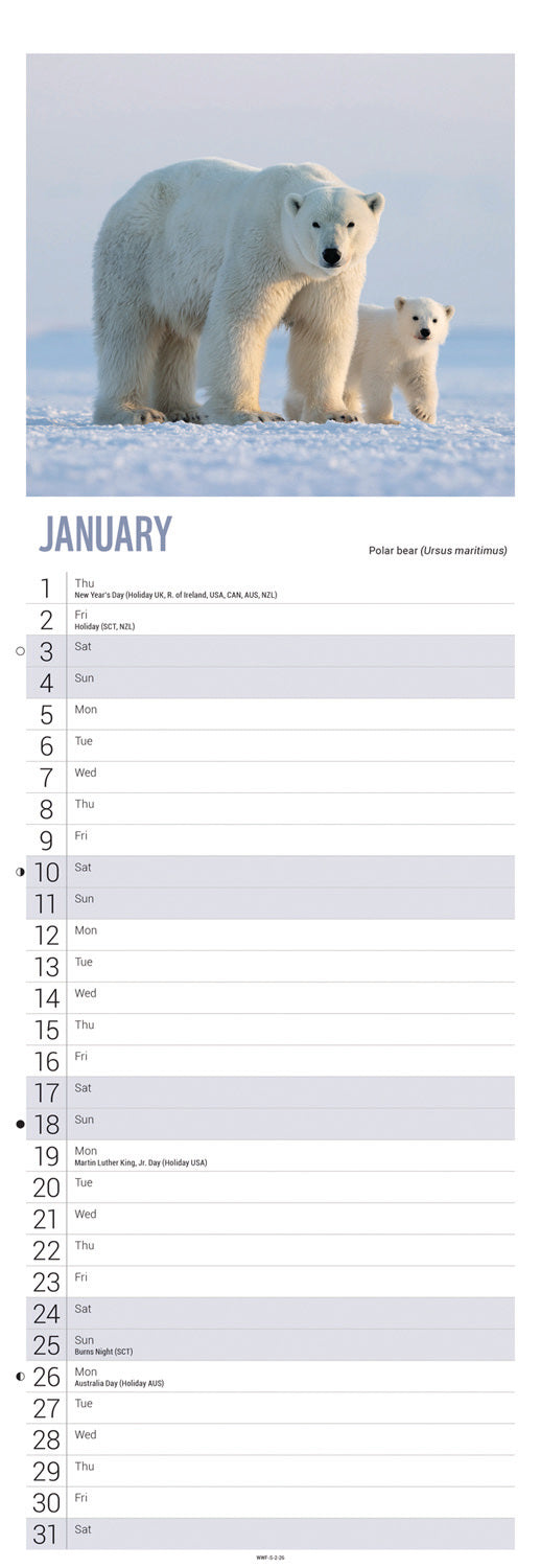 WWF, Baby Animals Slim Calendar 2026
