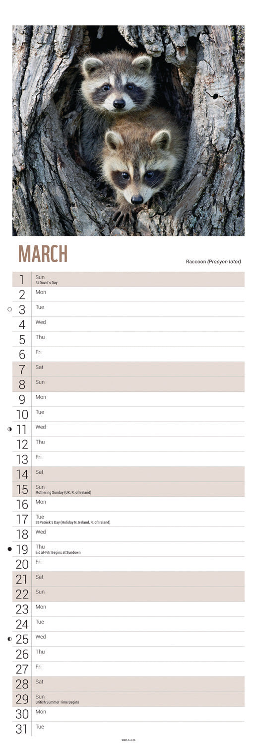 WWF, Baby Animals Slim Calendar 2026