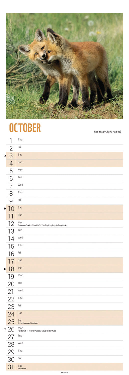 WWF, Baby Animals Slim Calendar 2026