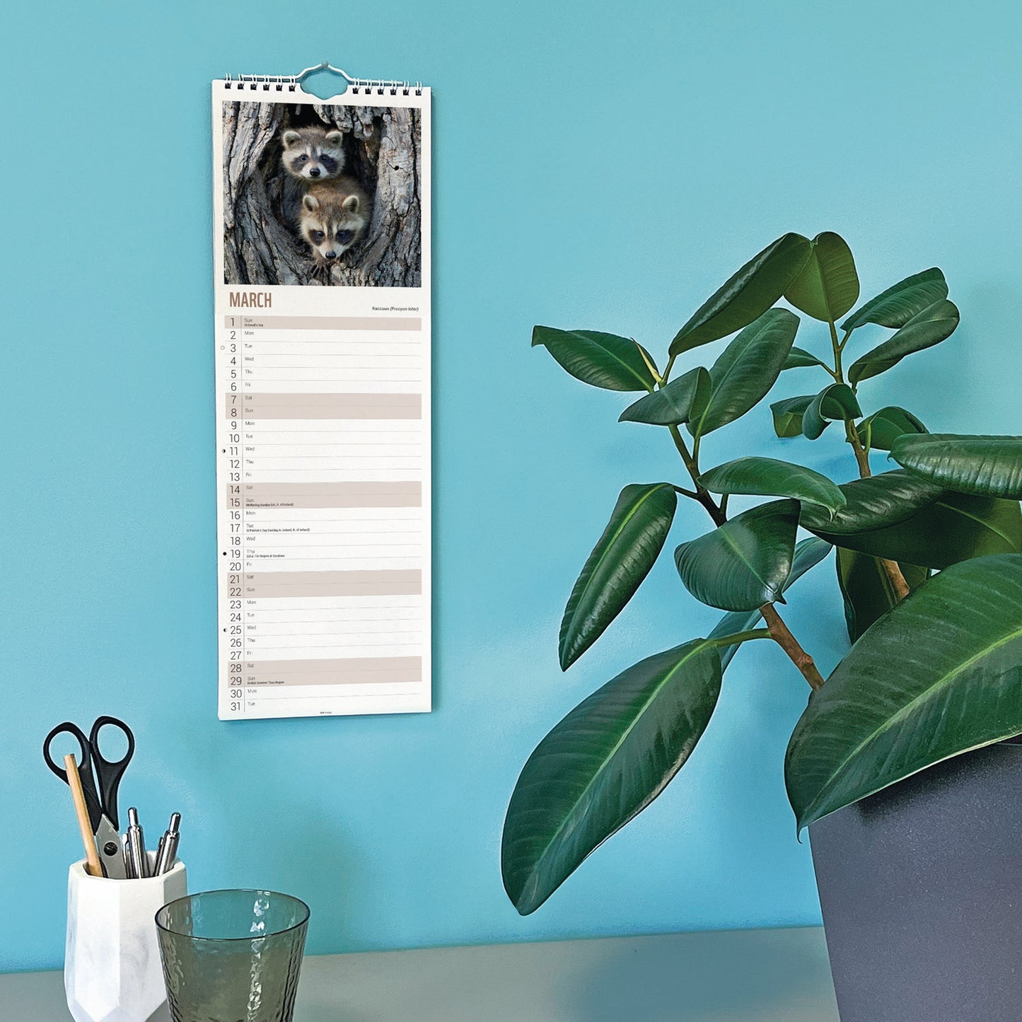 WWF, Baby Animals Slim Calendar 2026