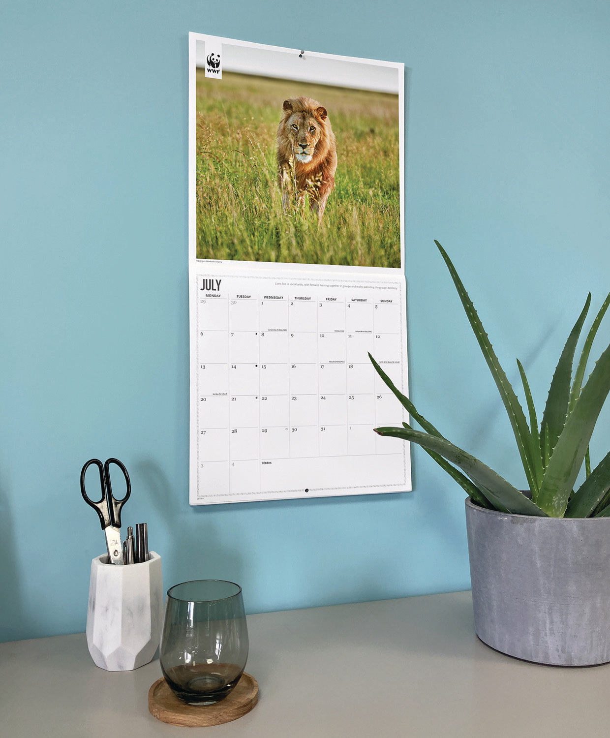 WWF, Big Cats Wall Calendar 2026