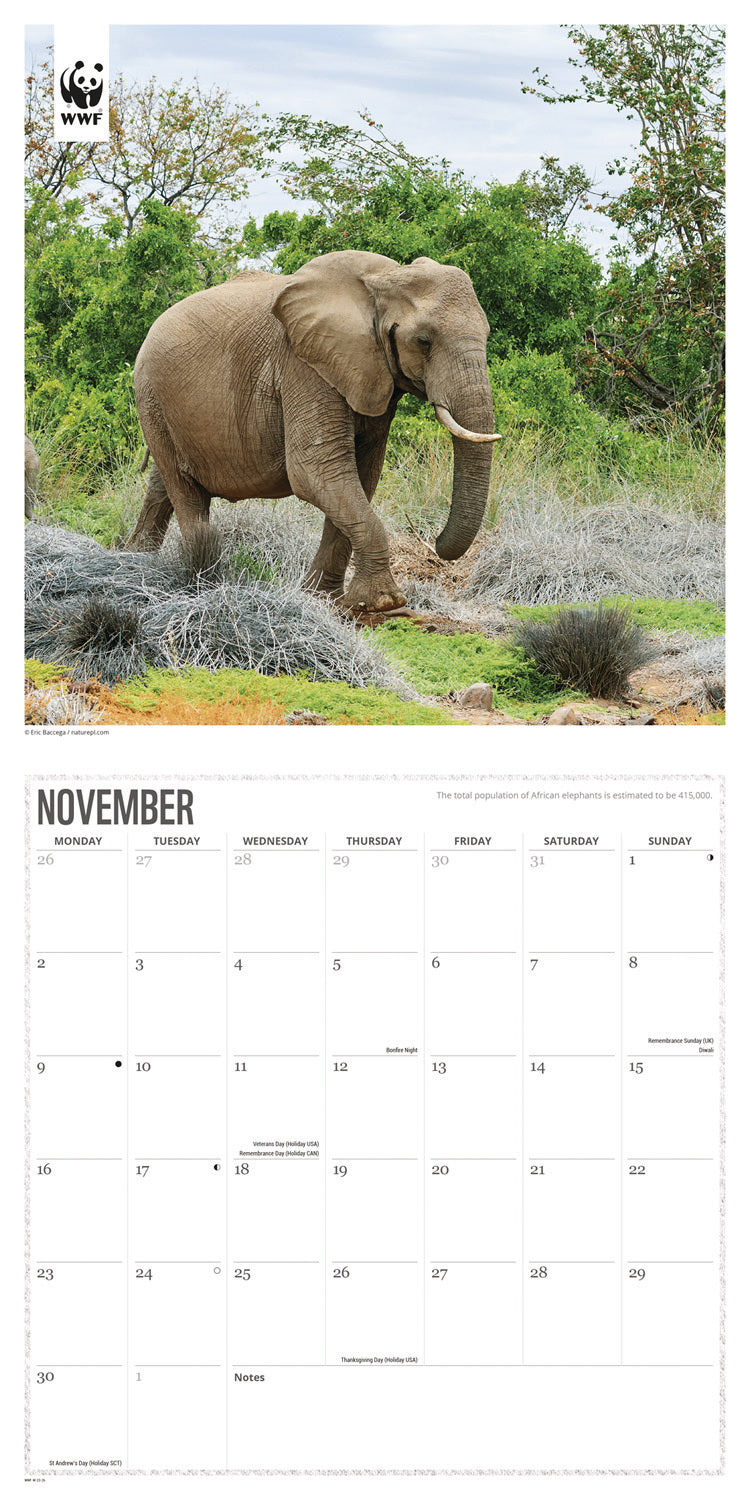 WWF, Elephants Wall Calendar 2026