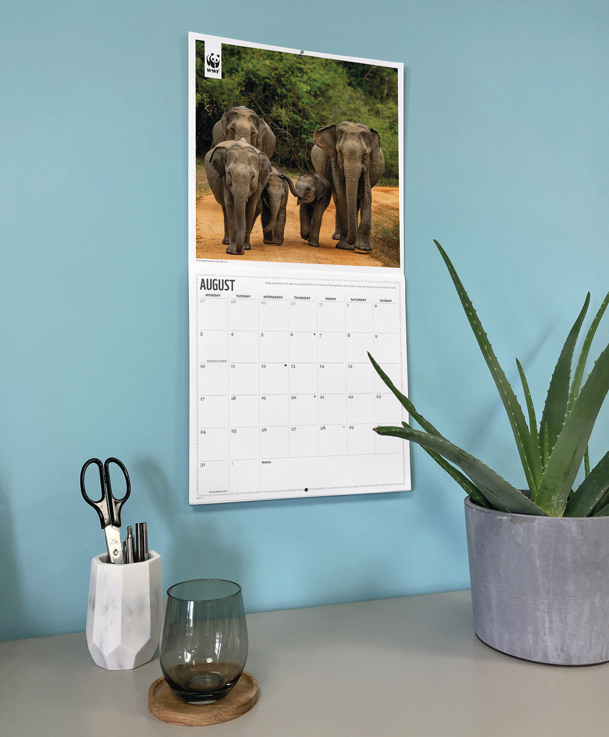 WWF, Elephants Wall Calendar 2026