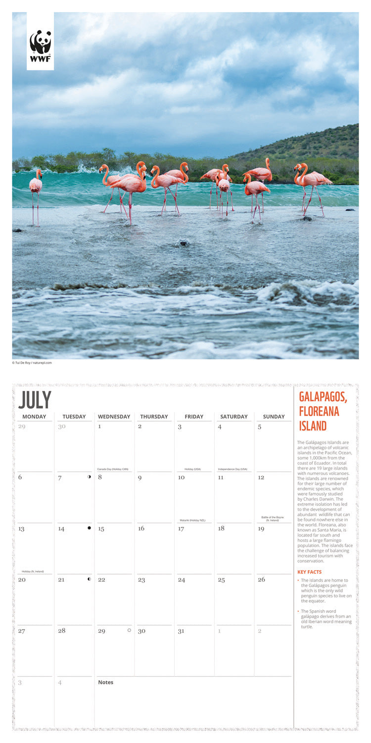 WWF, Fragile Earth, Wall Calendar 2026