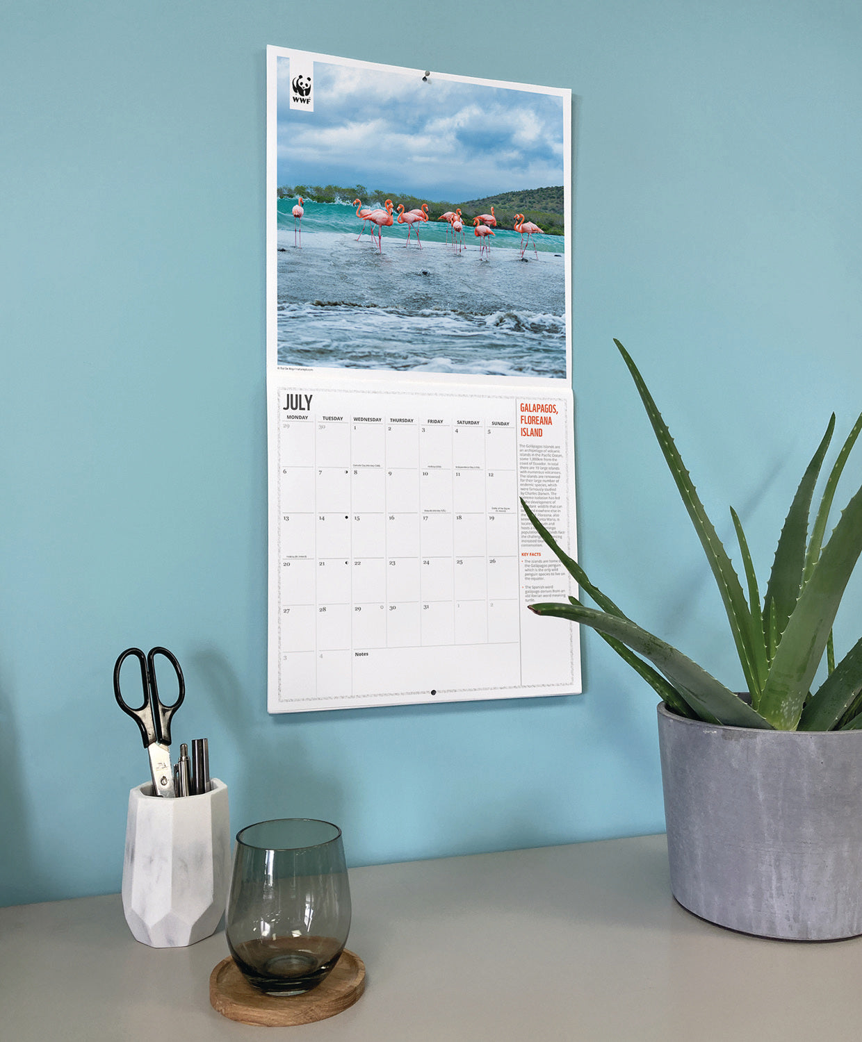 WWF, Fragile Earth, Wall Calendar 2026