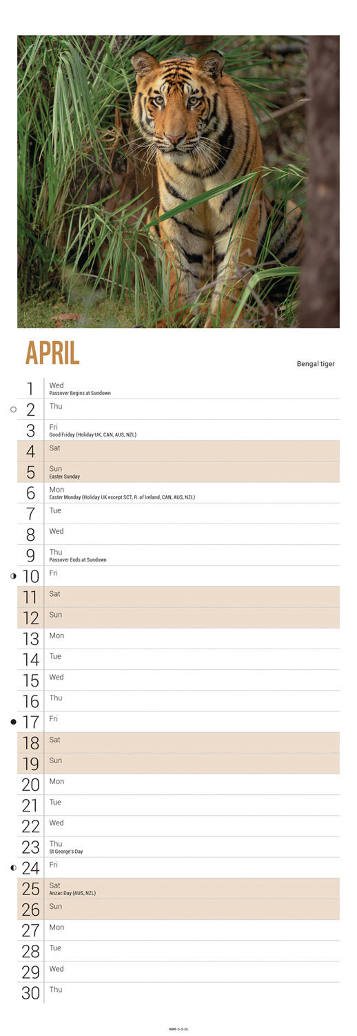 WWF, Tigers Slim Calendar 2026