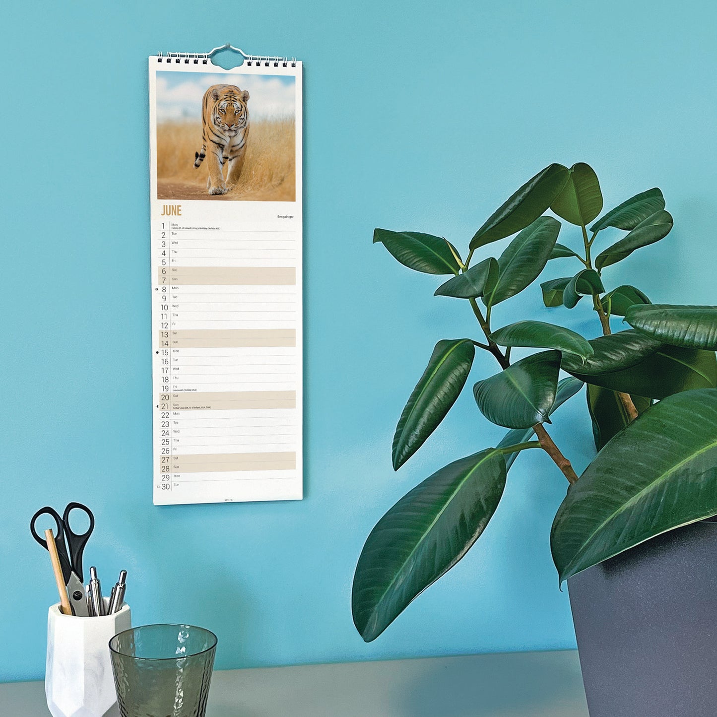 WWF, Tigers Slim Calendar 2026