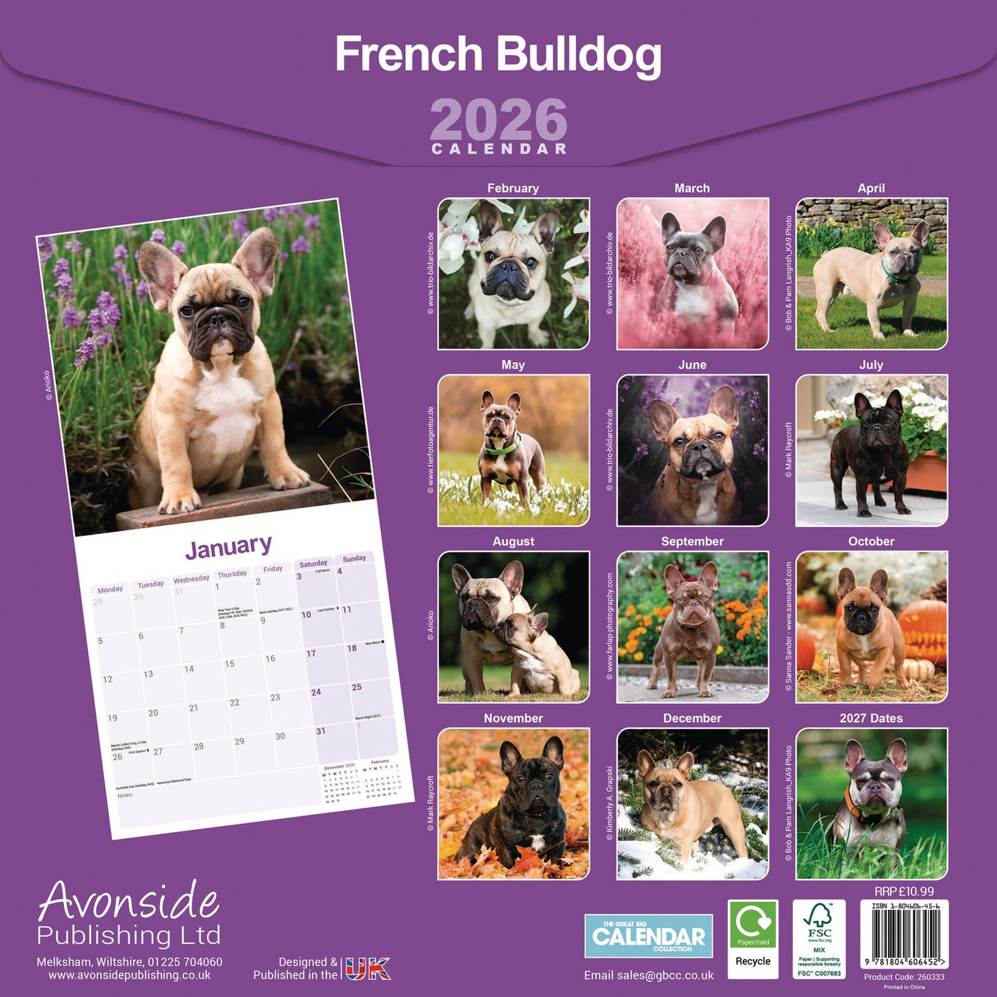 French Bulldog Wall Calendar 2026