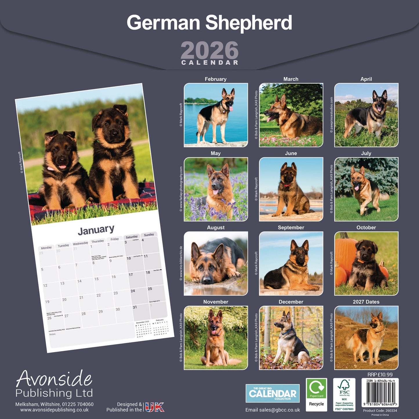 German Shepherds Wall Calendar 2026