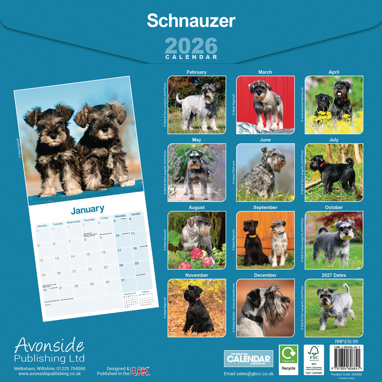 Schnauzers Wall Calendar 2026