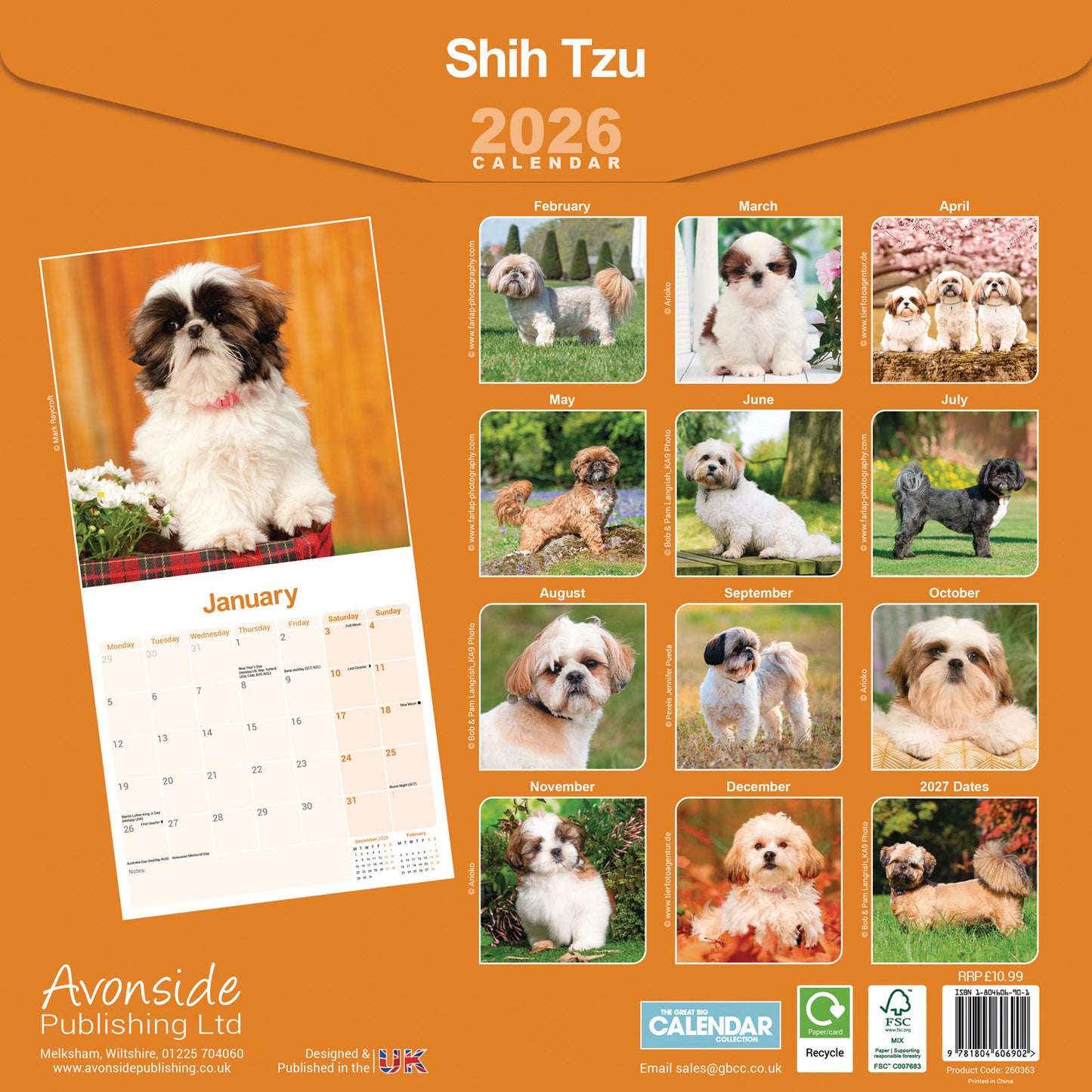 Shih Tzu Wall Calendar 2026